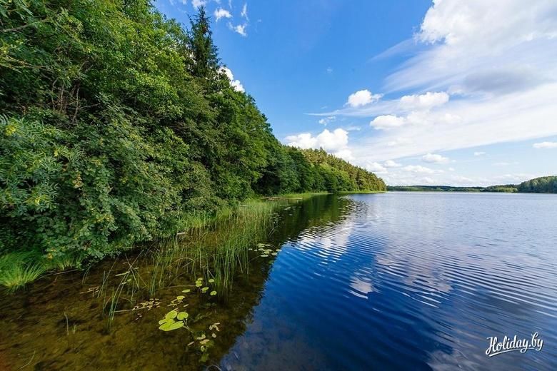 Загородные дома Усадьба Жемчужный край Voyshkuny